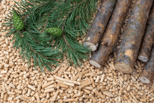 Gölbaşı 1 Ton Pelet Yakıtı